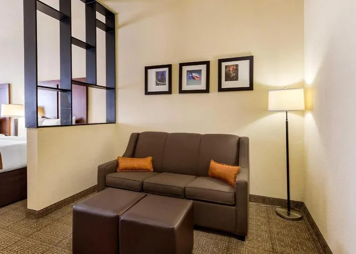 Comfort Suites Near Nasa - Clear Lake