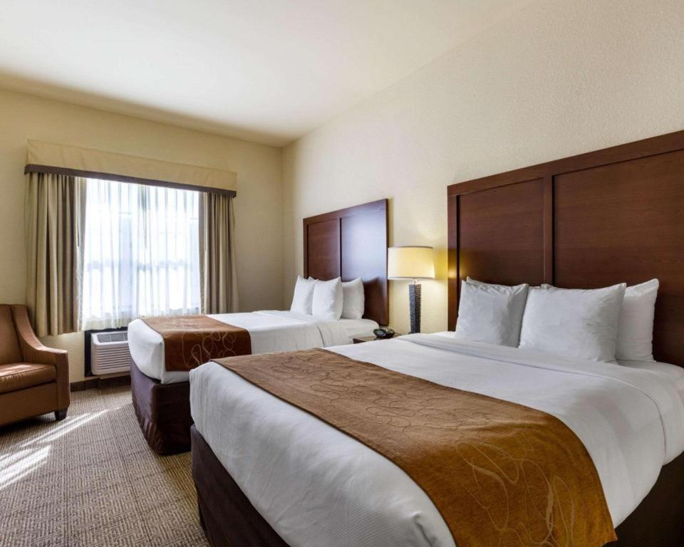 Comfort Near Nasa - Clear Hotel Webster