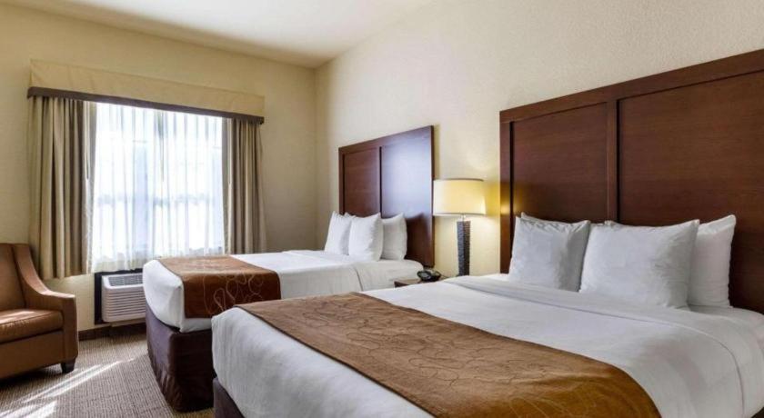 Comfort Near Nasa - Clear Hotel Webster