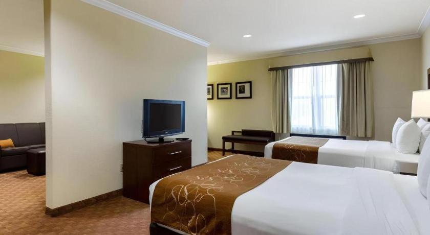 Hotel Comfort Near Nasa - Clear Webster